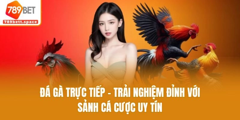 Đá Gà Trực Tiếp – Trải Nghiệm Đỉnh Với Sảnh Cá Cược Uy Tín